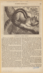 Image ID 823166