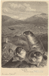 Image ID 823167