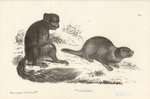 Image ID 823170