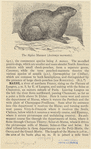 Image ID 823171