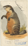Image ID 823178