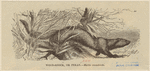 Image ID 823182