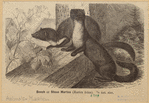 Image ID 823183