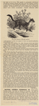 Image ID 823186
