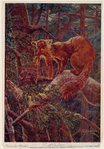 Image ID 823187