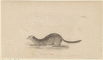 Image ID 823189