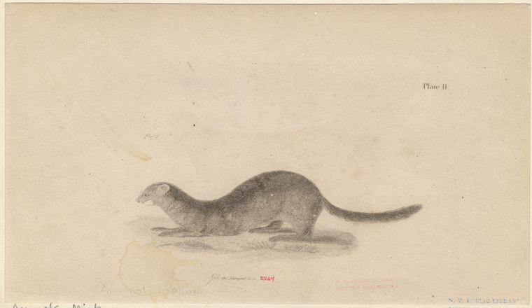 Image ID 823189
