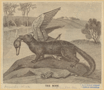 Image ID 823190