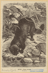 Image ID 823191