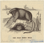 Image ID 823193