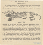 Image ID 823195