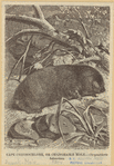Image ID 823196