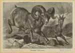 Image ID 823201