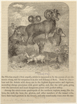 Image ID 823208
