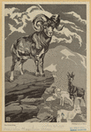 Image ID 823209