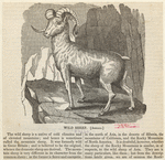 Image ID 823211