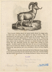 Image ID 823212