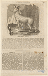 Image ID 823215