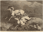 Image ID 823216