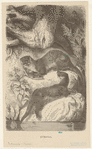 Image ID 823220