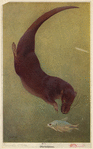 Image ID 823221