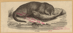 Image ID 823227
