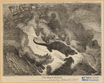 Image ID 823230
