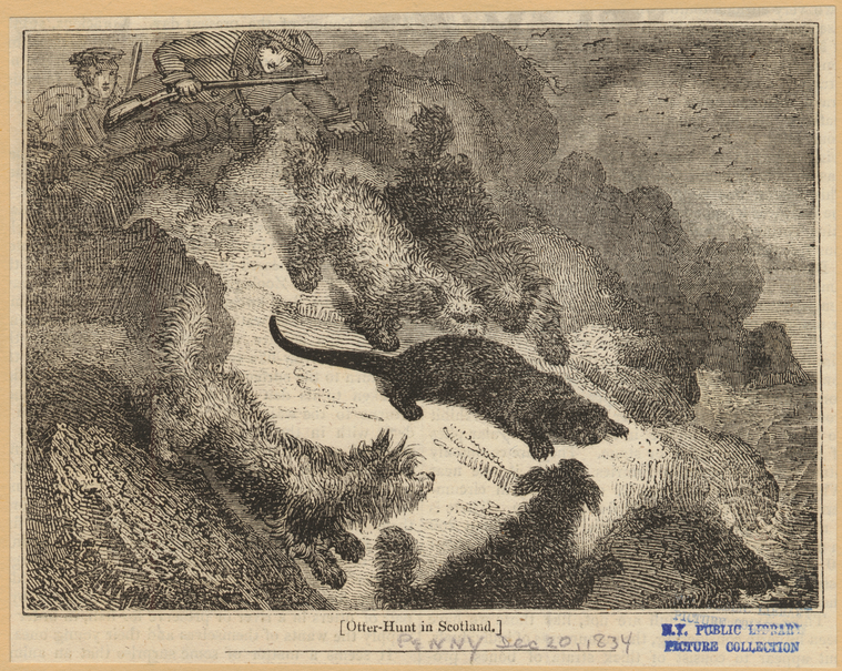 Image ID 823230
