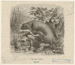 Image ID 823234