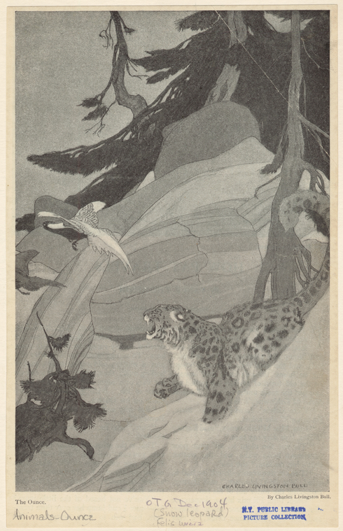 Image ID 823237
