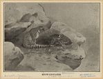 Image ID 823239