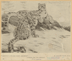 Image ID 823241