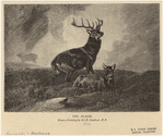 Image ID 823243