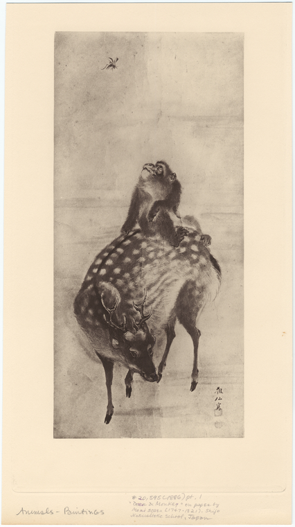 Image ID 823244
