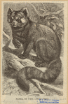 Image ID 823246