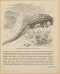 Image ID 823250