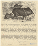 Image ID 823256