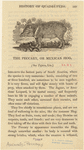 Image ID 823259