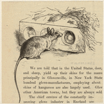 Image ID 823264