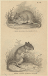 Image ID 823269