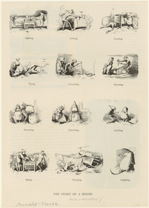 Image ID 823272