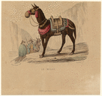 Image ID 823275
