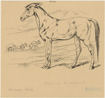 Image ID 823277