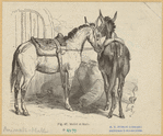 Image ID 823279