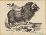Image ID 823283
