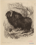 Image ID 823288