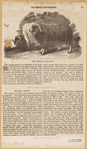 Image ID 823291