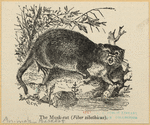 Image ID 823293
