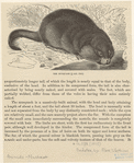 Image ID 823295