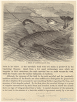 Image ID 823300